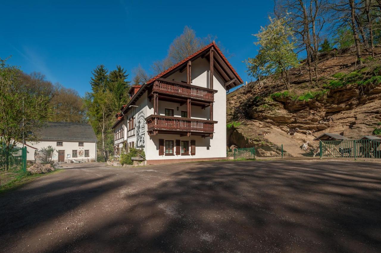 Zur Margarethenmuehle - Landgasthof Und Waldhotel Rosswein Экстерьер фото