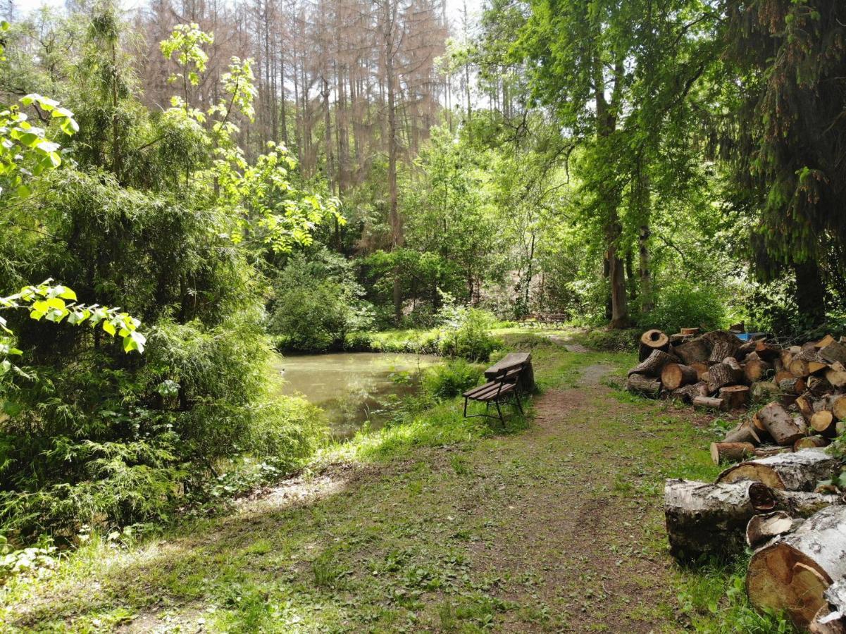 Zur Margarethenmuehle - Landgasthof Und Waldhotel Rosswein Экстерьер фото
